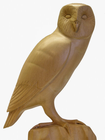 Phil - Barn Owl.jpg