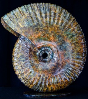 Andrew Thomas - Sculpture.jpg