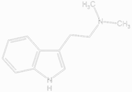 Neurotransmitter