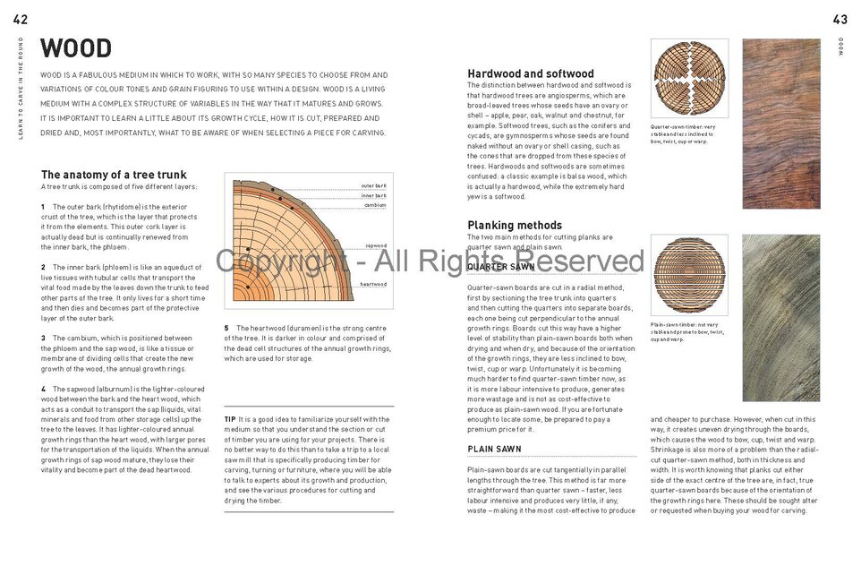 Learn to Carve in the Round by Andrew Thomas Learn to Carve in the Round by Andrew Thomas