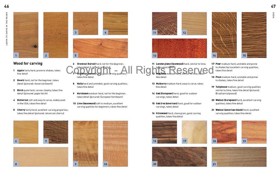 Learn to Carve in the Round by Andrew Thomas Learn to Carve in the Round by Andrew Thomas