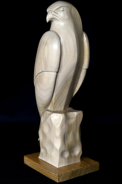 Kestrel by Jim Roach