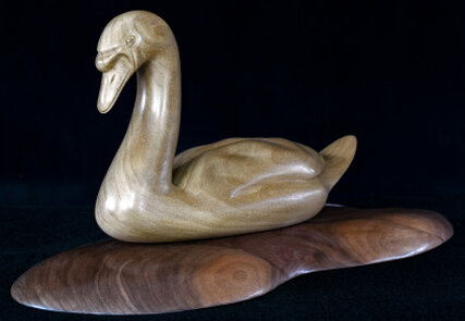 Swan by Dave Butler