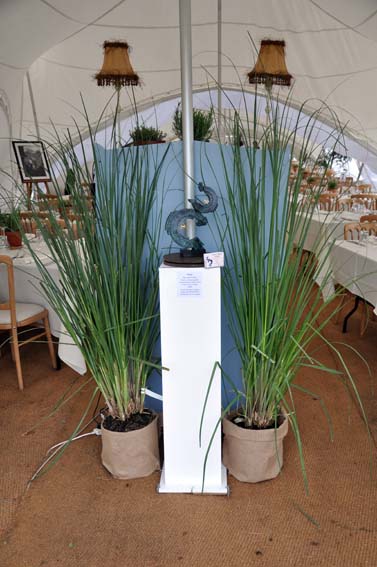 Art Exhibitions Art Exhibitions