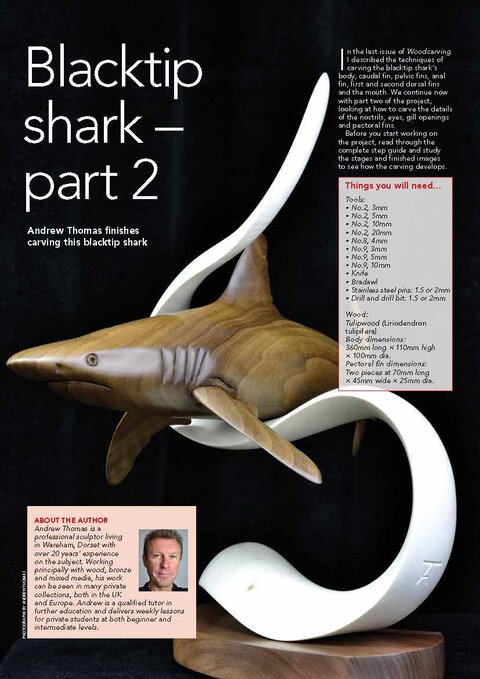 Article by Andrew Thomas Article by Andrew Thomas