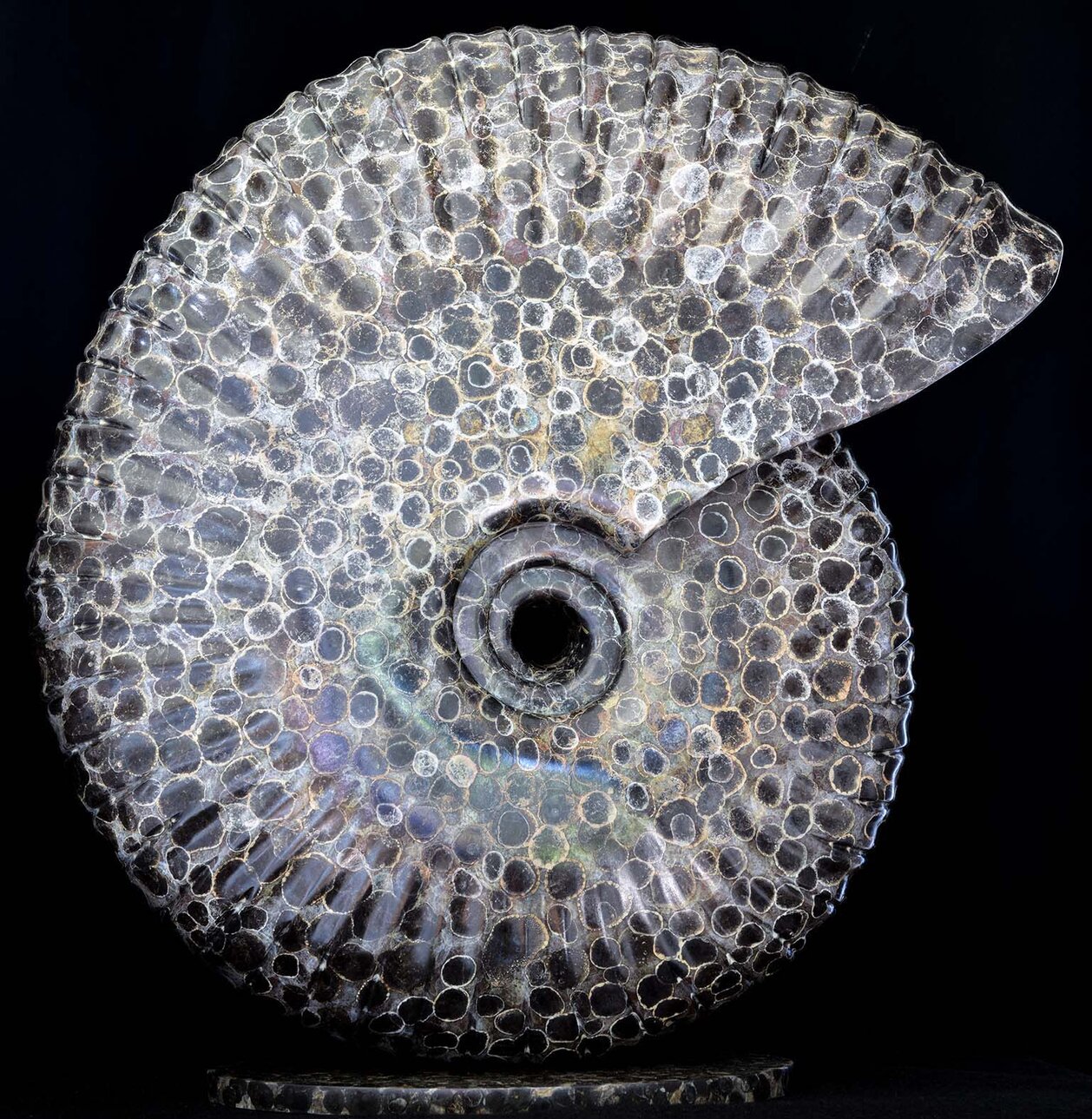 Bronze sculpture by Andrew Thomas