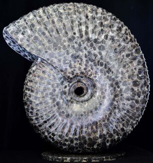 Bronze sculpture by Andrew Thomas